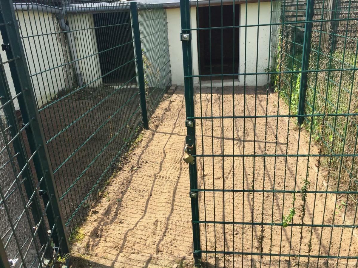 Ferienwohnung Neustrelitz Ngoại thất bức ảnh